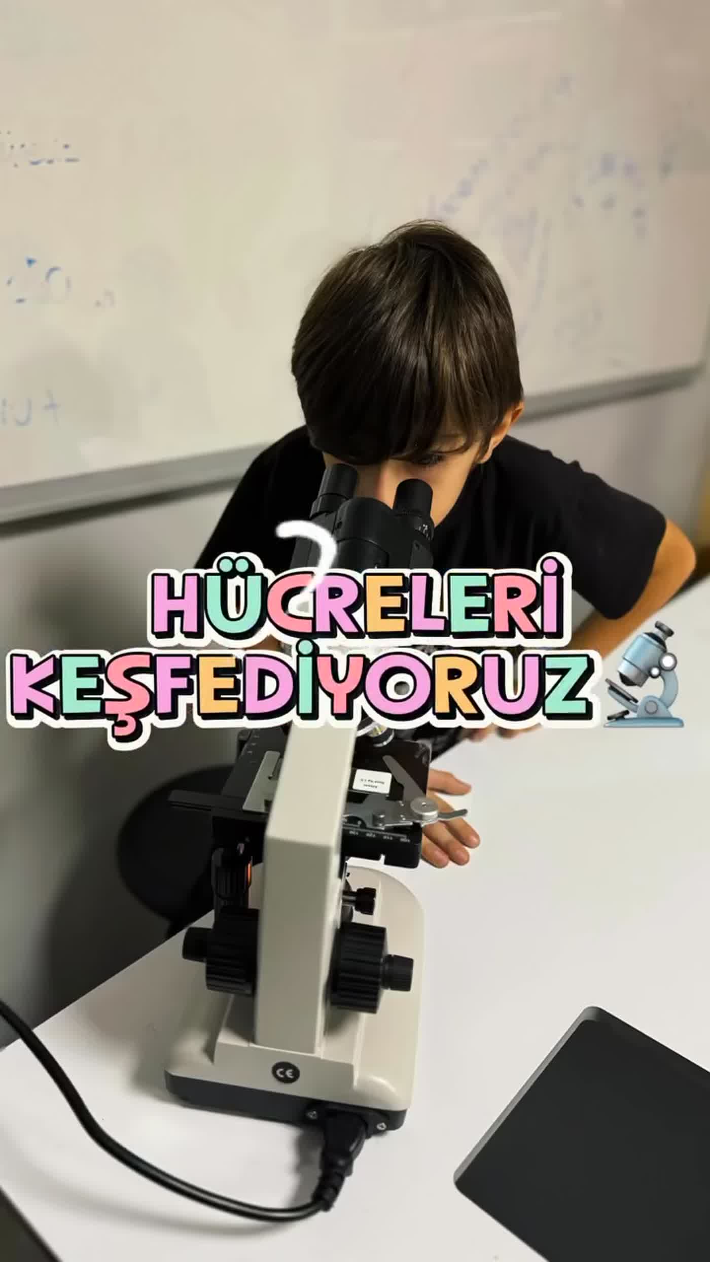 5. Sınıf Öğrencilerimiz Mikroskop Altında Hücreleri İnceledi
